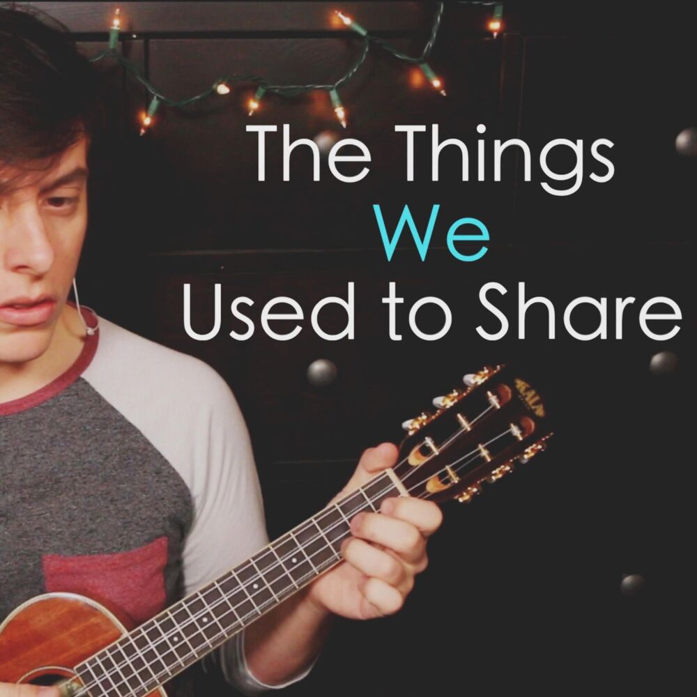Picture of The Things We Used to Share