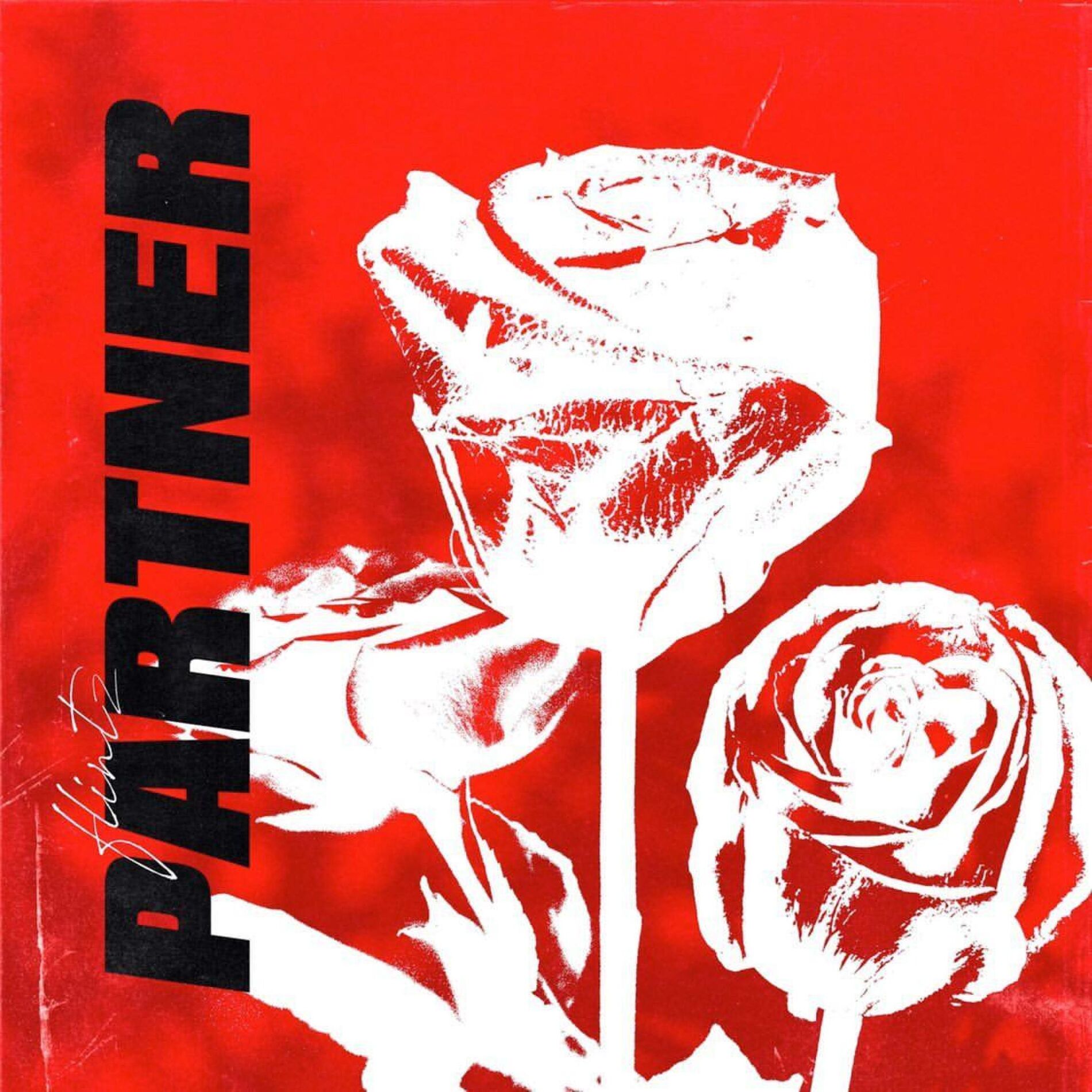 Album cover of Partner