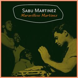 Cover of Maravilloso Martinez