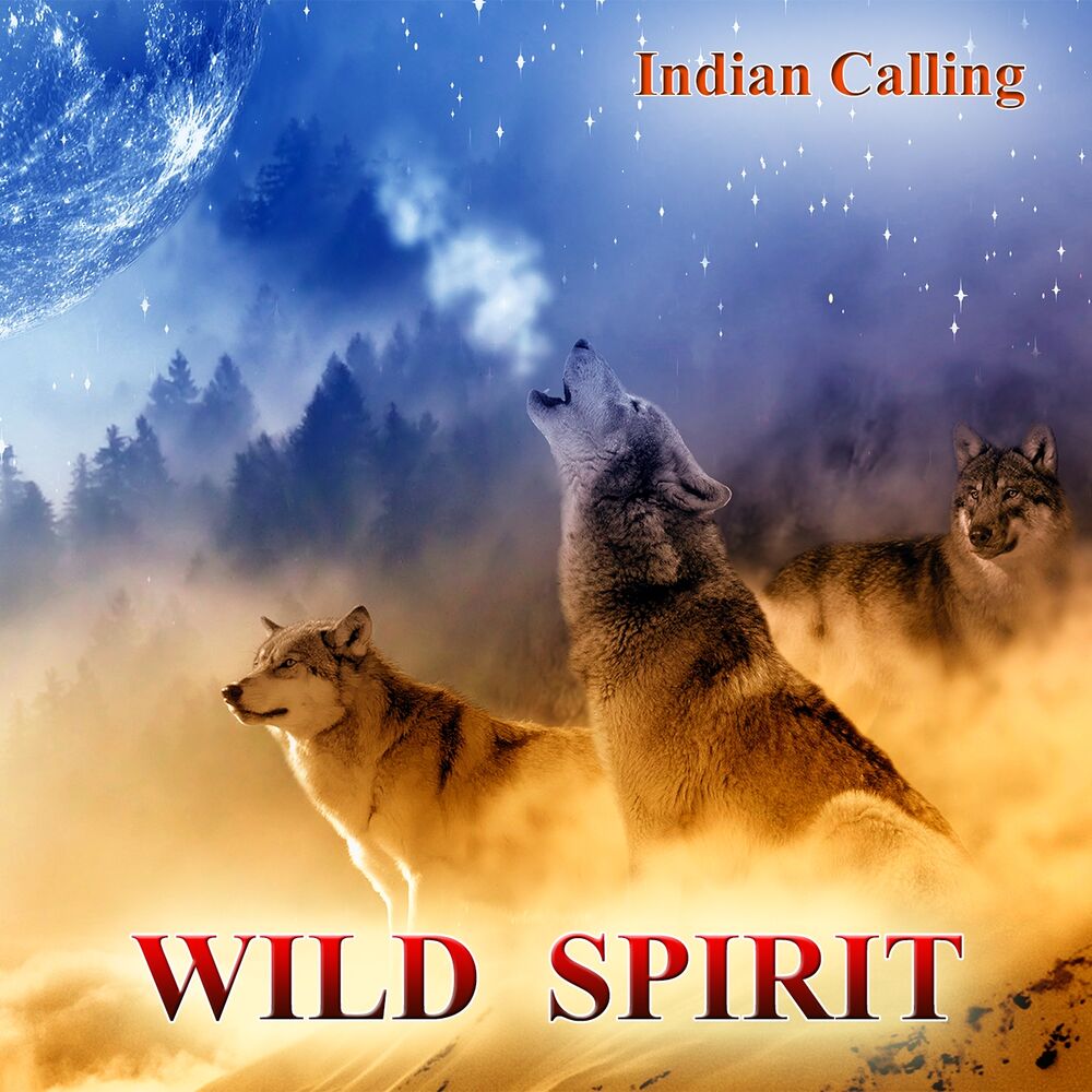 Picture of Wild Spirit (Contemporary Native American Music)