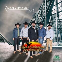 Cover of 25 Aniversario Vol. 3