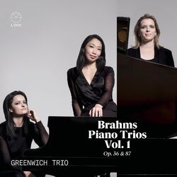 Cover of Brahms: Piano Trios Vol. 1, Op. 36 & 87