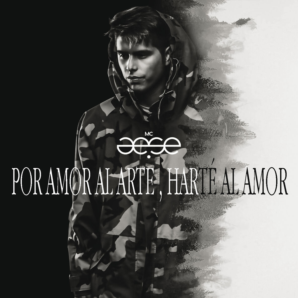 Album cover of Como No