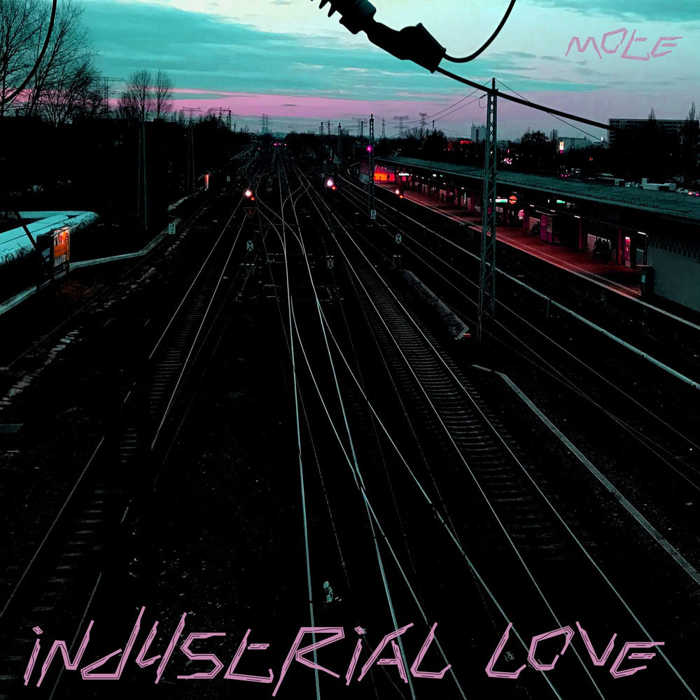 Album artwork for Industrial Love by Mote