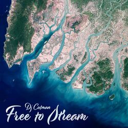 Cover of Free to Stream