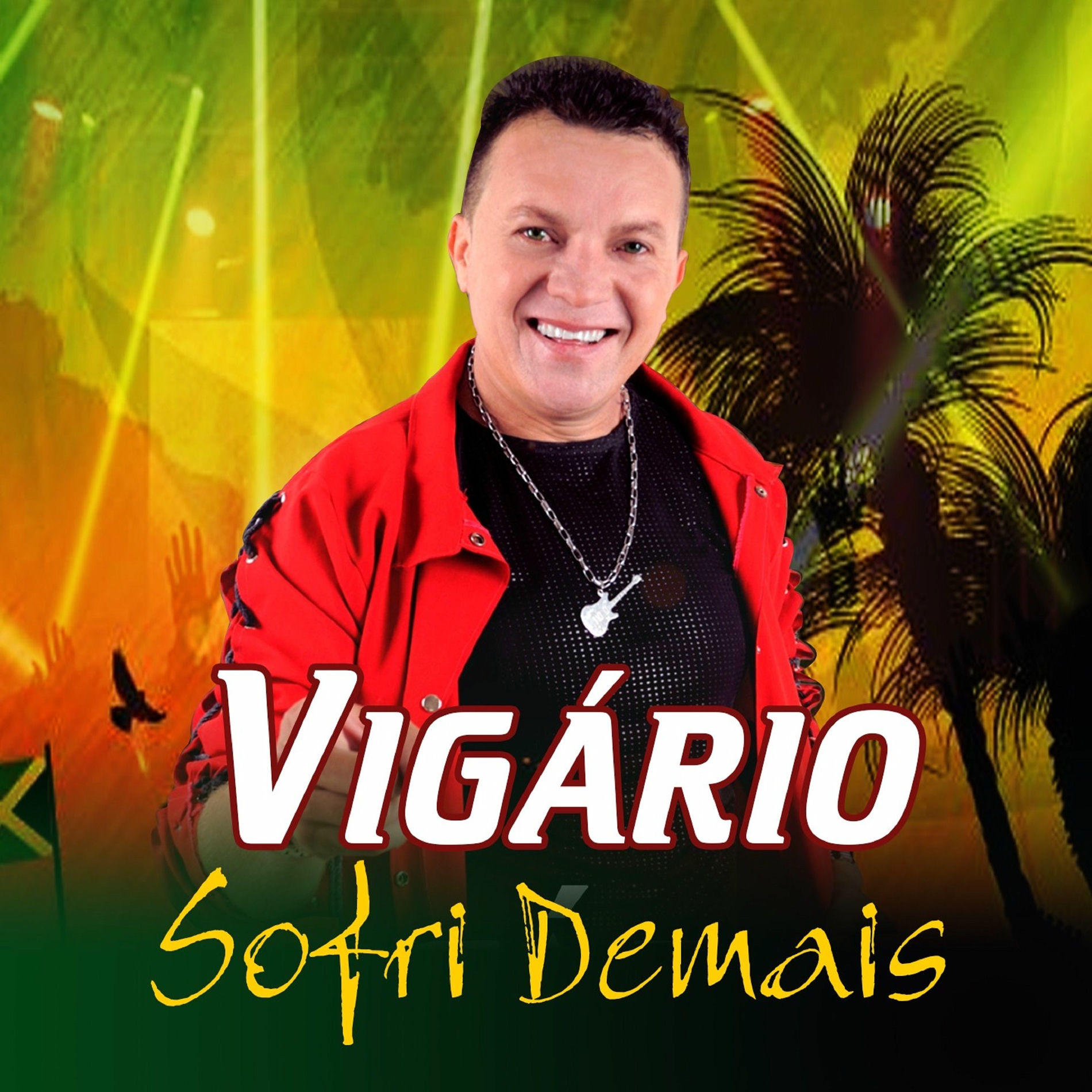 Album cover of Sofri Demais