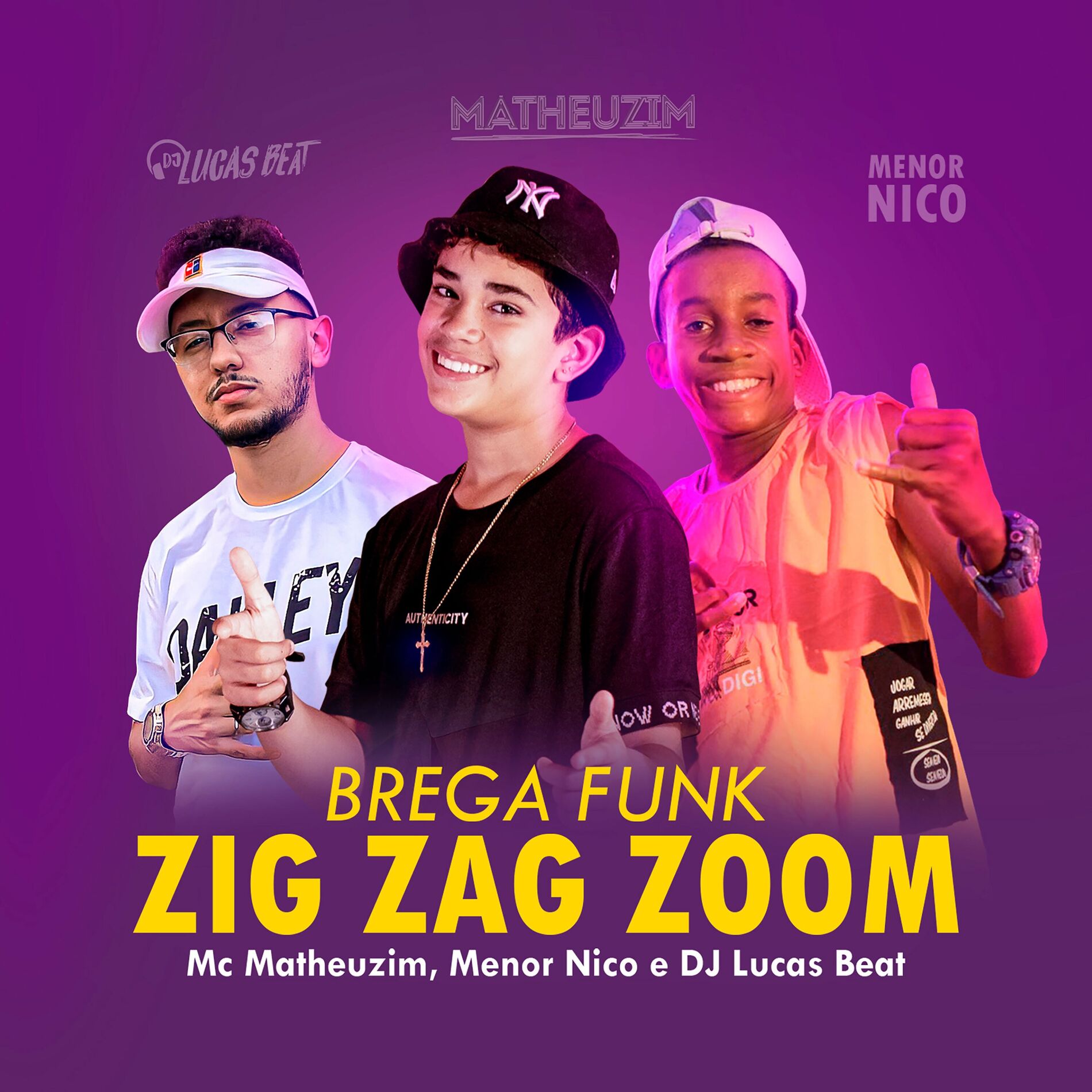 Album cover of Zig Zag Zoom
