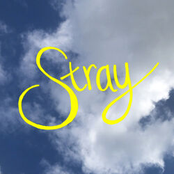 Cover of Stray