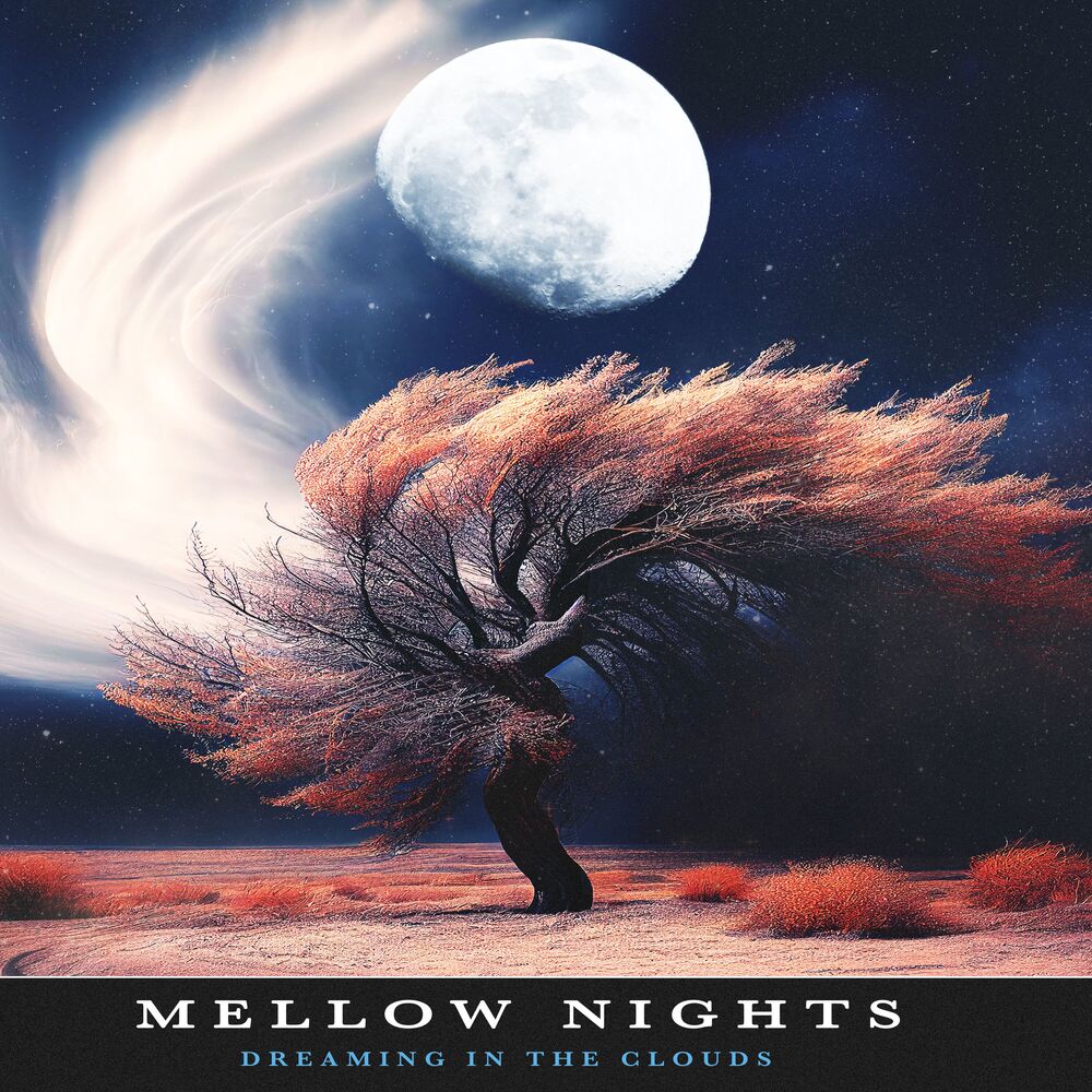 Picture of Mellow Nights