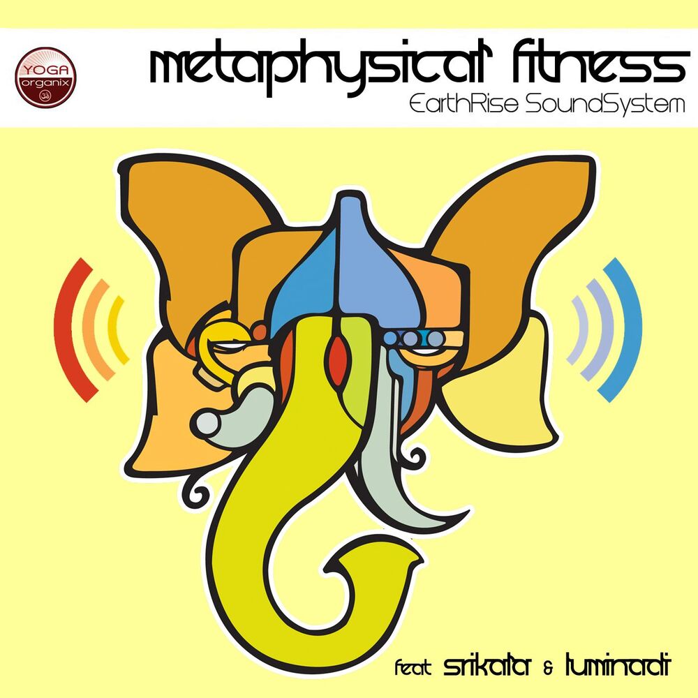 Picture of Metaphysical Fitness