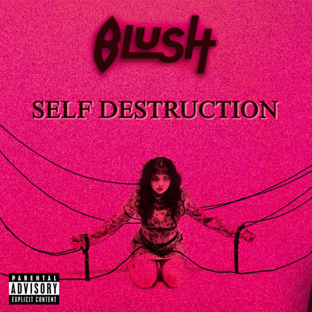 Self Destruction