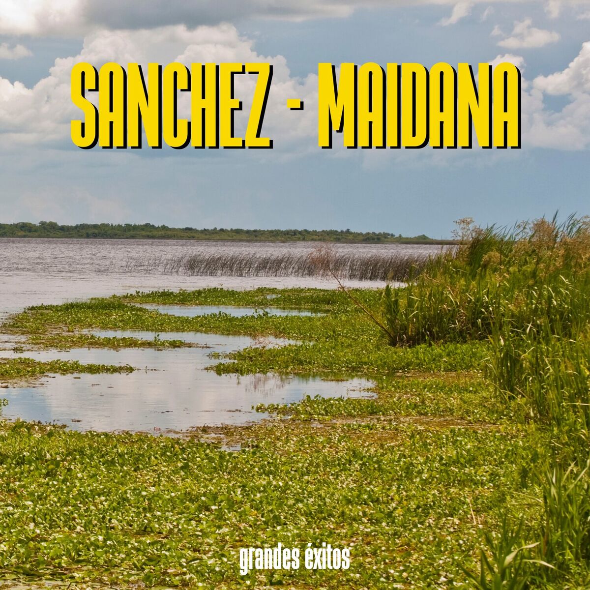 Album cover of Grandes Éxitos