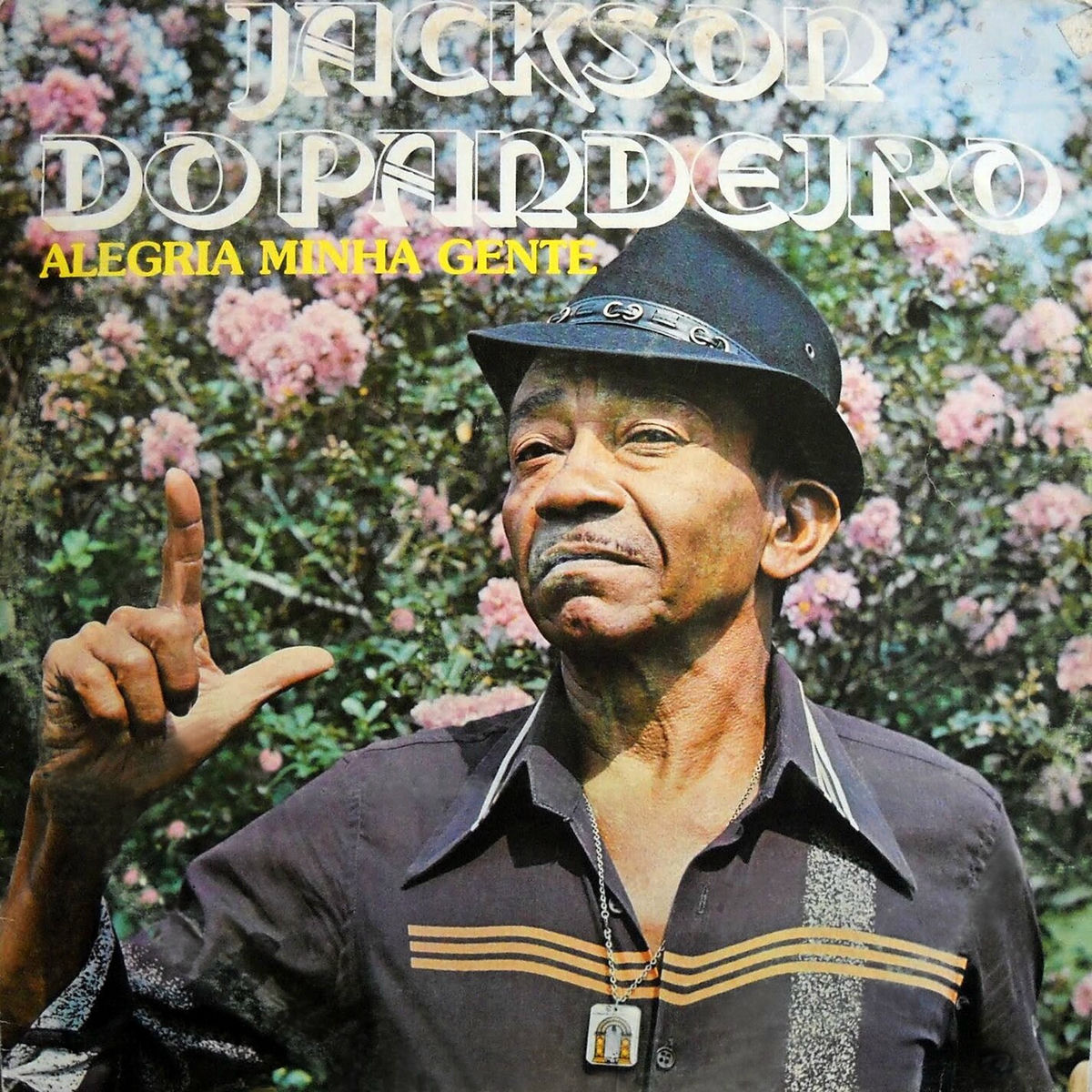 Album cover of Alegria Minha Gente
