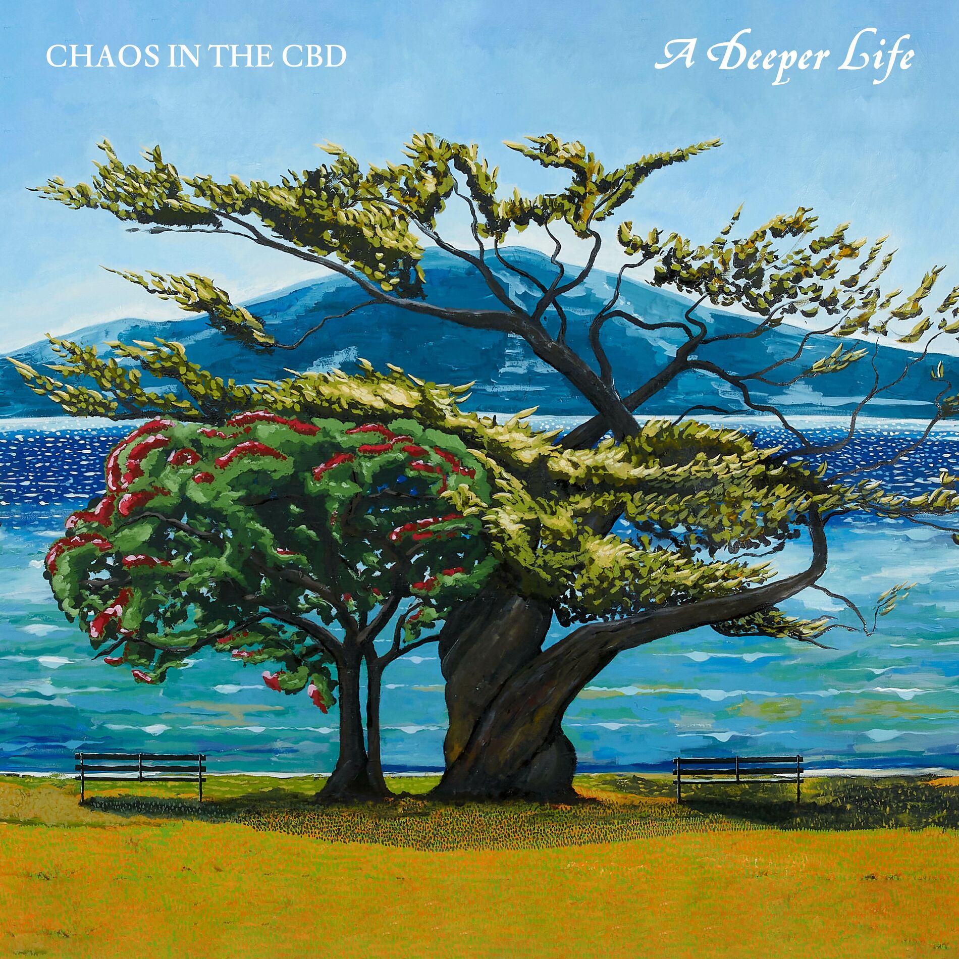 Album cover of A Deeper Life