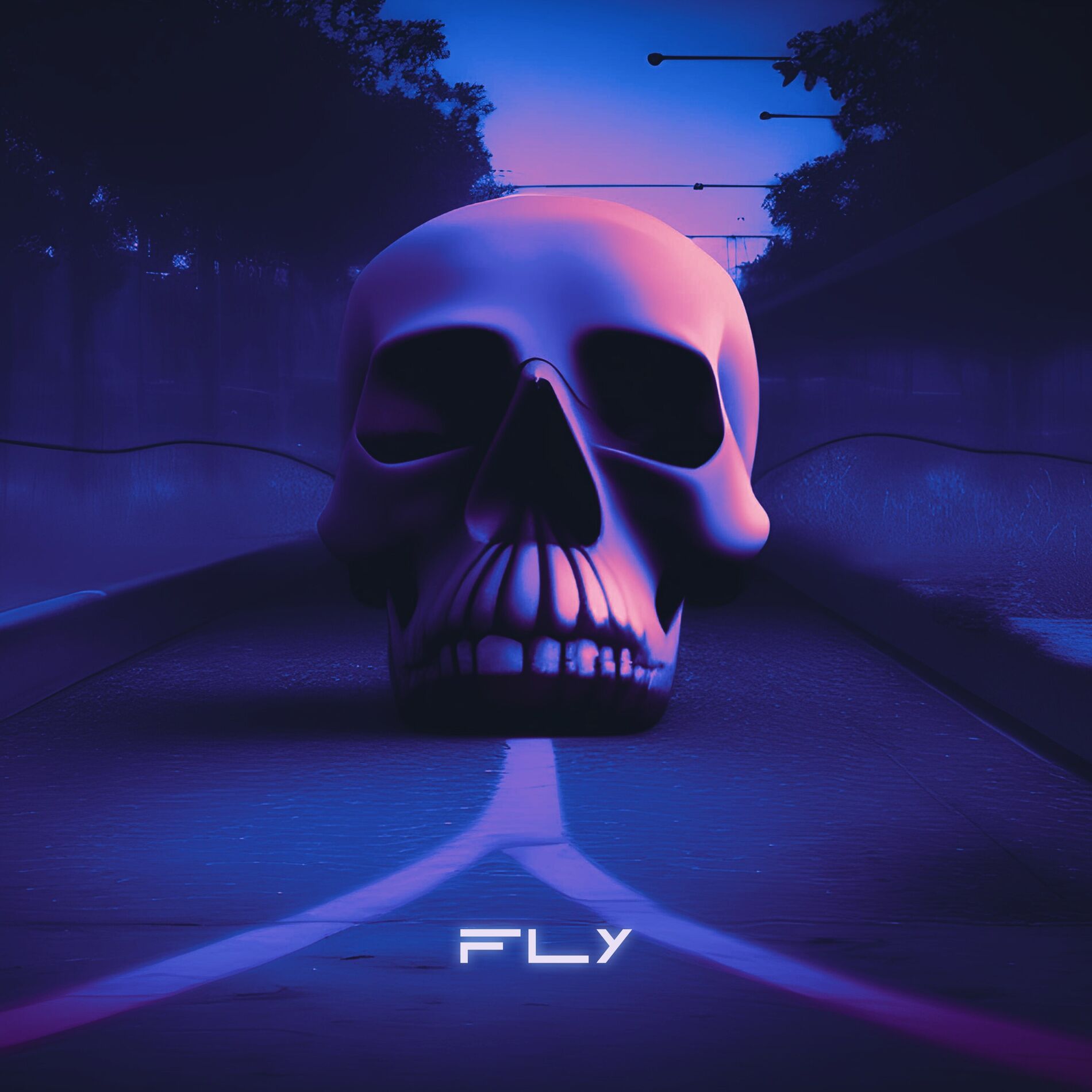 Album cover of Fly