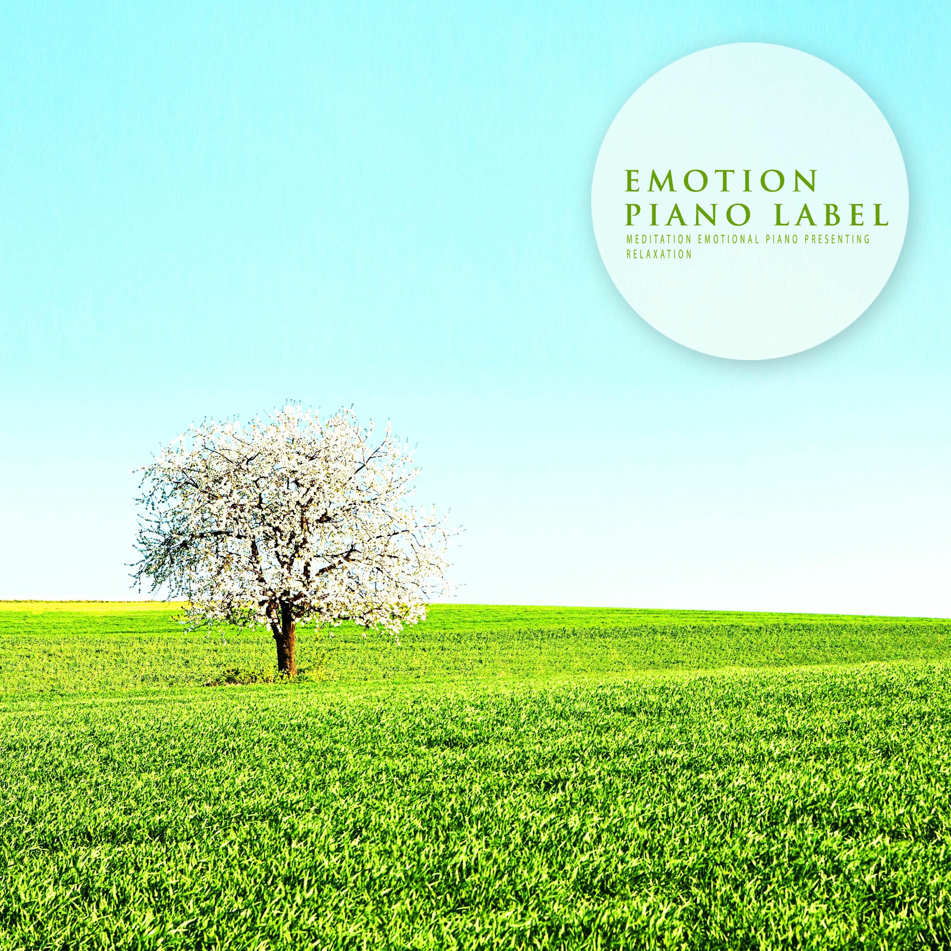 Album cover of Meditation Emotional Piano Presenting Relaxation