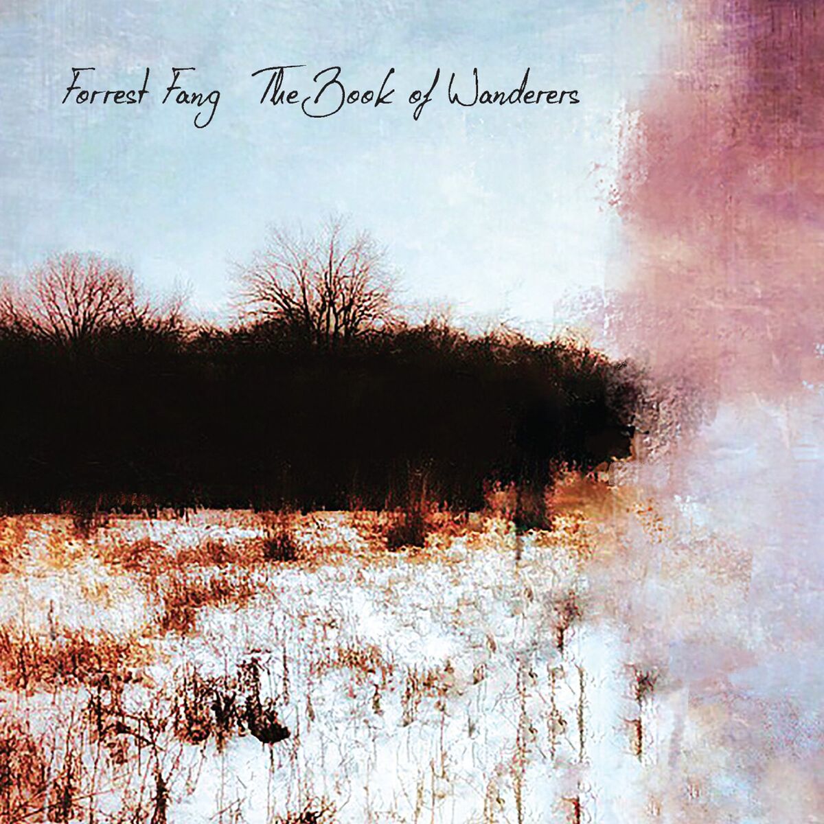 Album cover of The Book of Wanderers