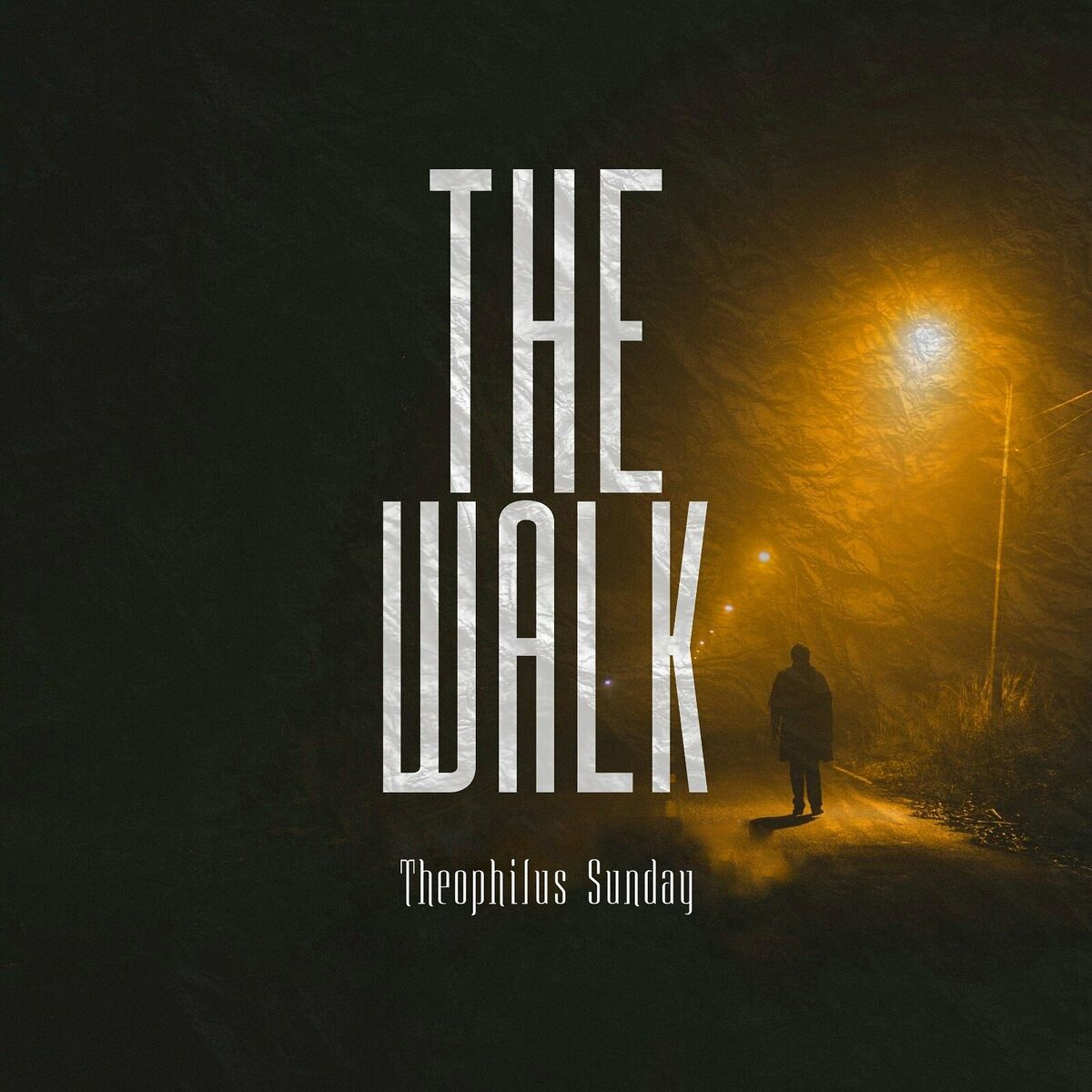 Album cover of The Walk (Live)