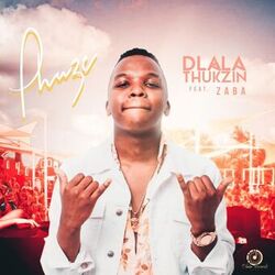Cover of Phuze