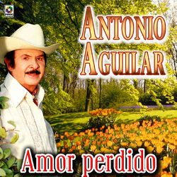 Cover of Amor Perdido