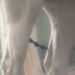 Cover of Vestiges of Nature