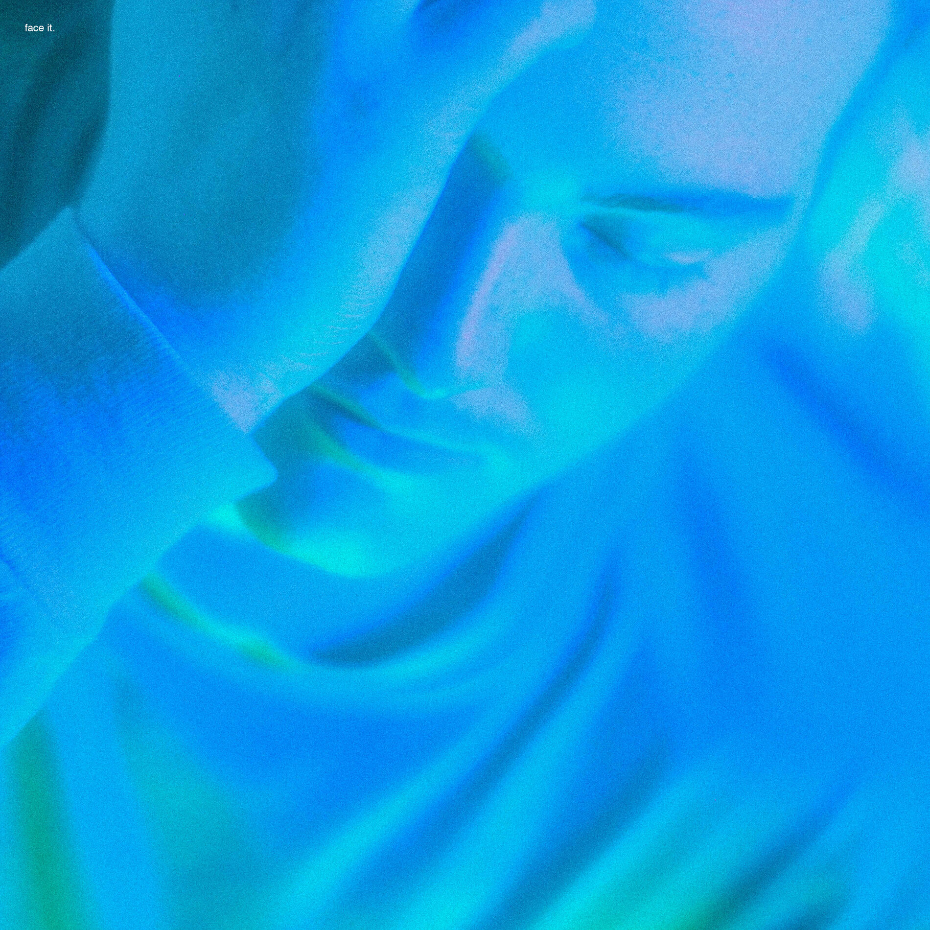 Album cover of Face It