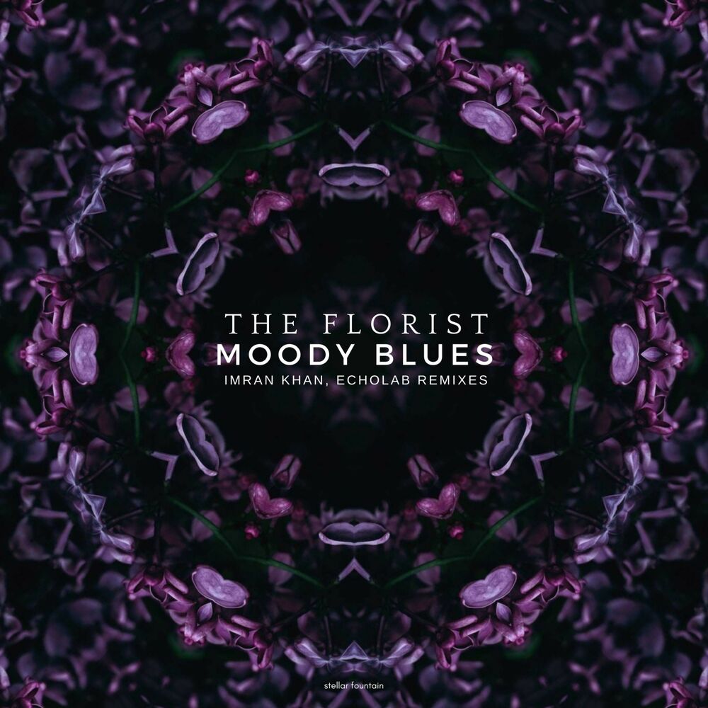 Picture of Moody Blues