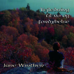 Cover of Vejledning til Ro og Fordybelse