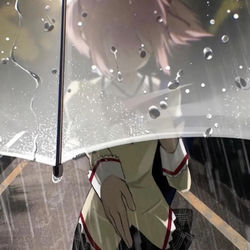 Cover of 泪珠 by undefined