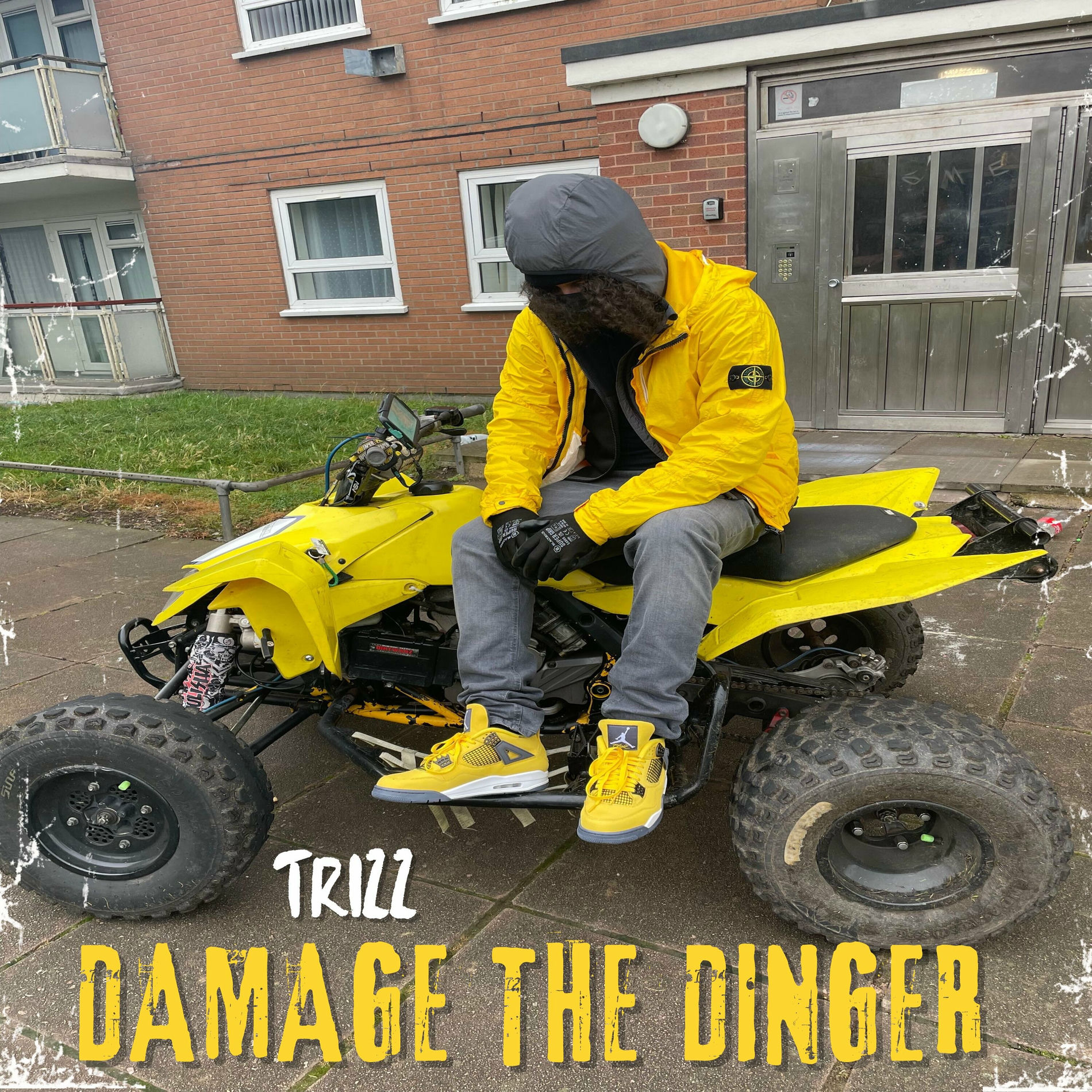 Album cover of Damage the Dinger