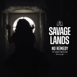 Cover of No Remedy
