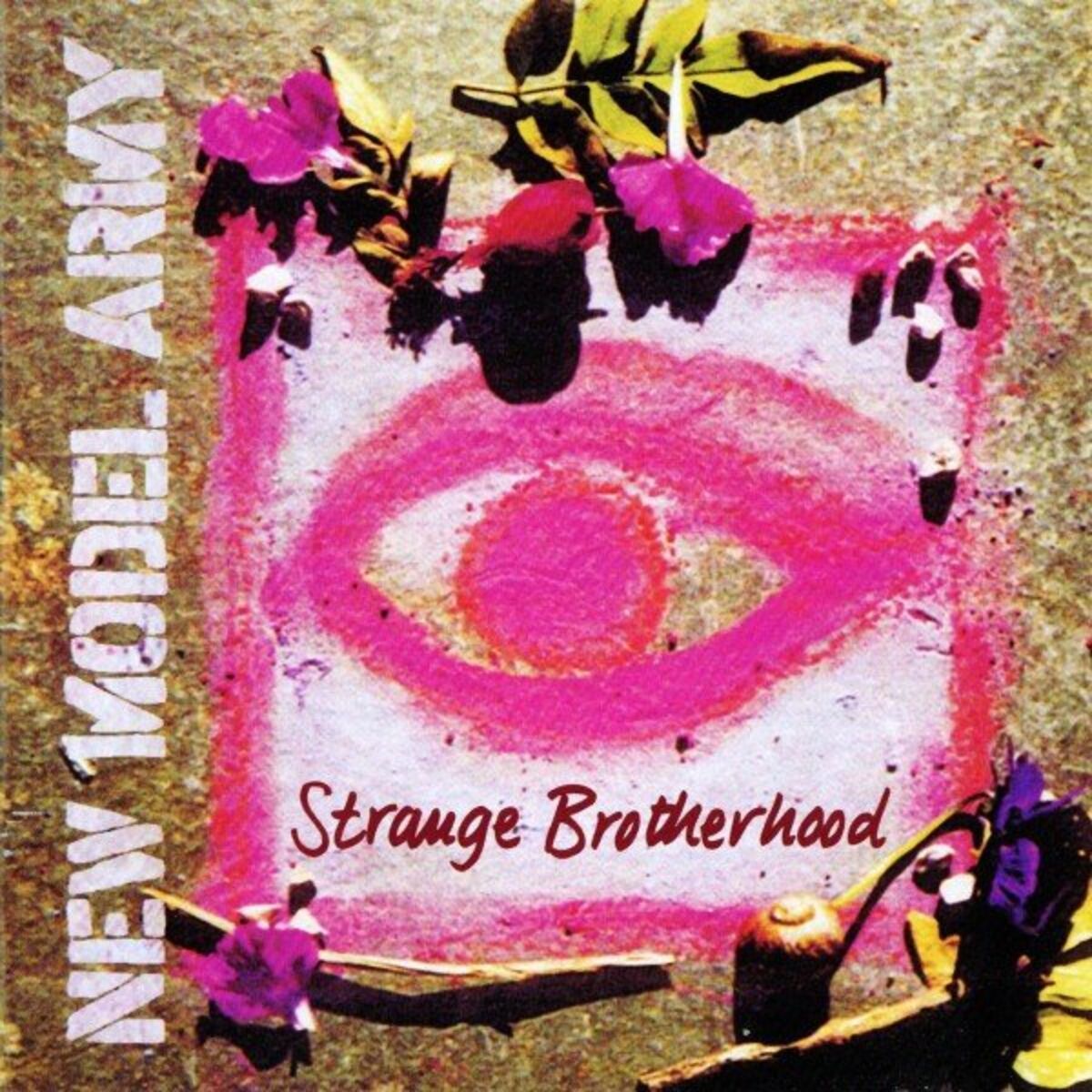 Album cover of Strange Brotherhood