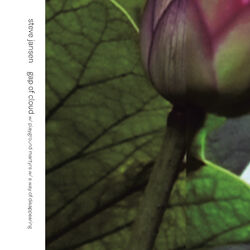 Cover of Gap Of Cloud/A Way Of Disappearing/Playground Martyrs
