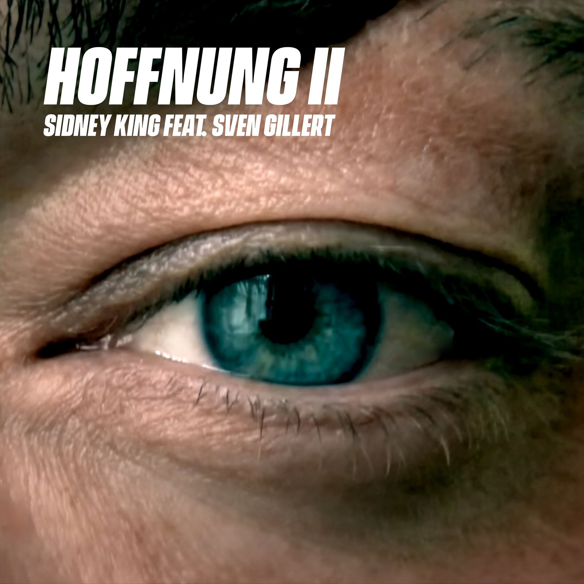 Album cover of Hoffnung 2
