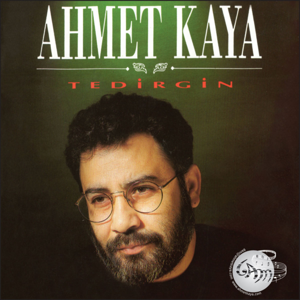 Album cover of Sevemezsin