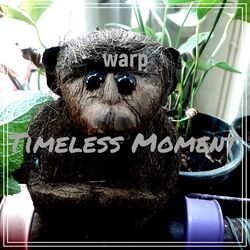Cover of Timeless Moment