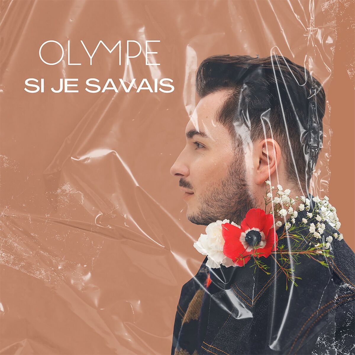Album cover of Si je savais