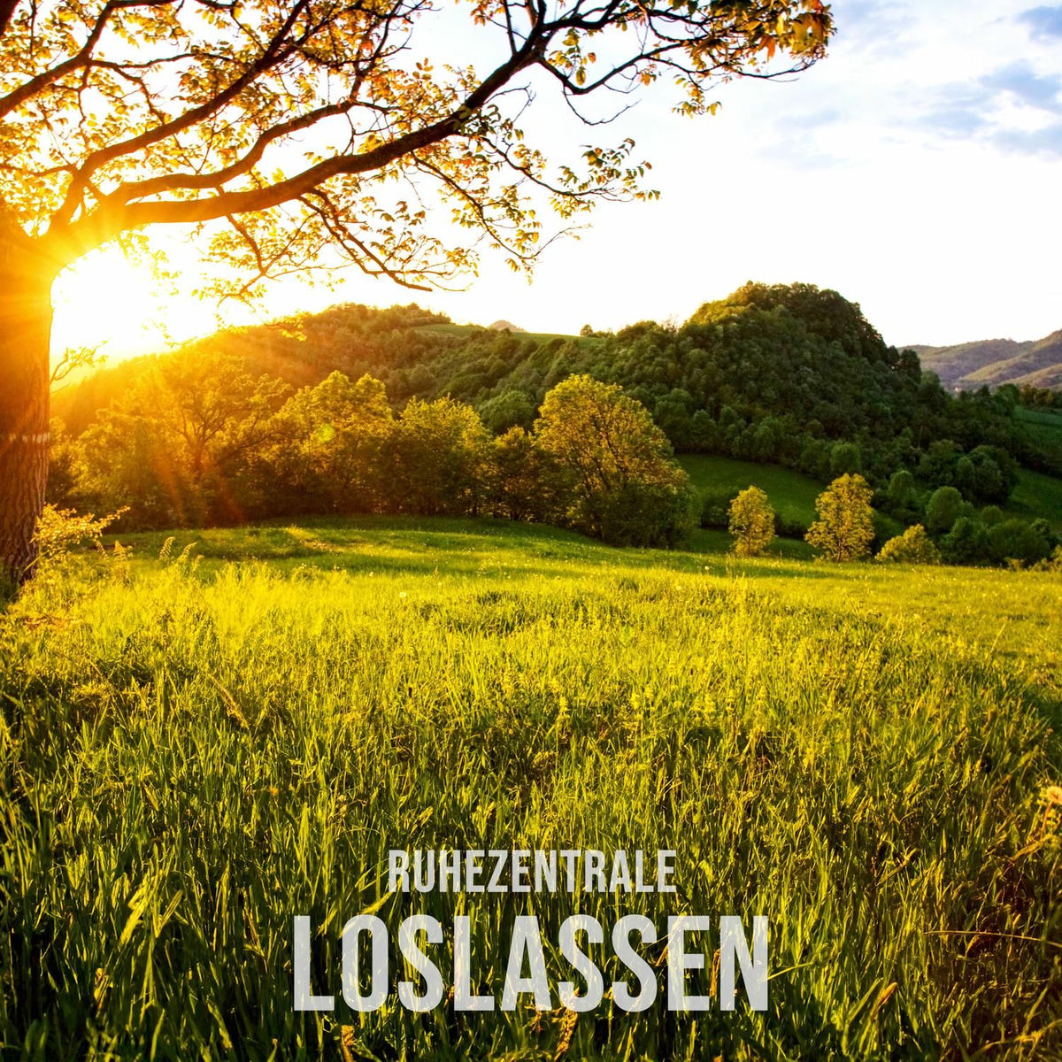 Album cover of Loslassen