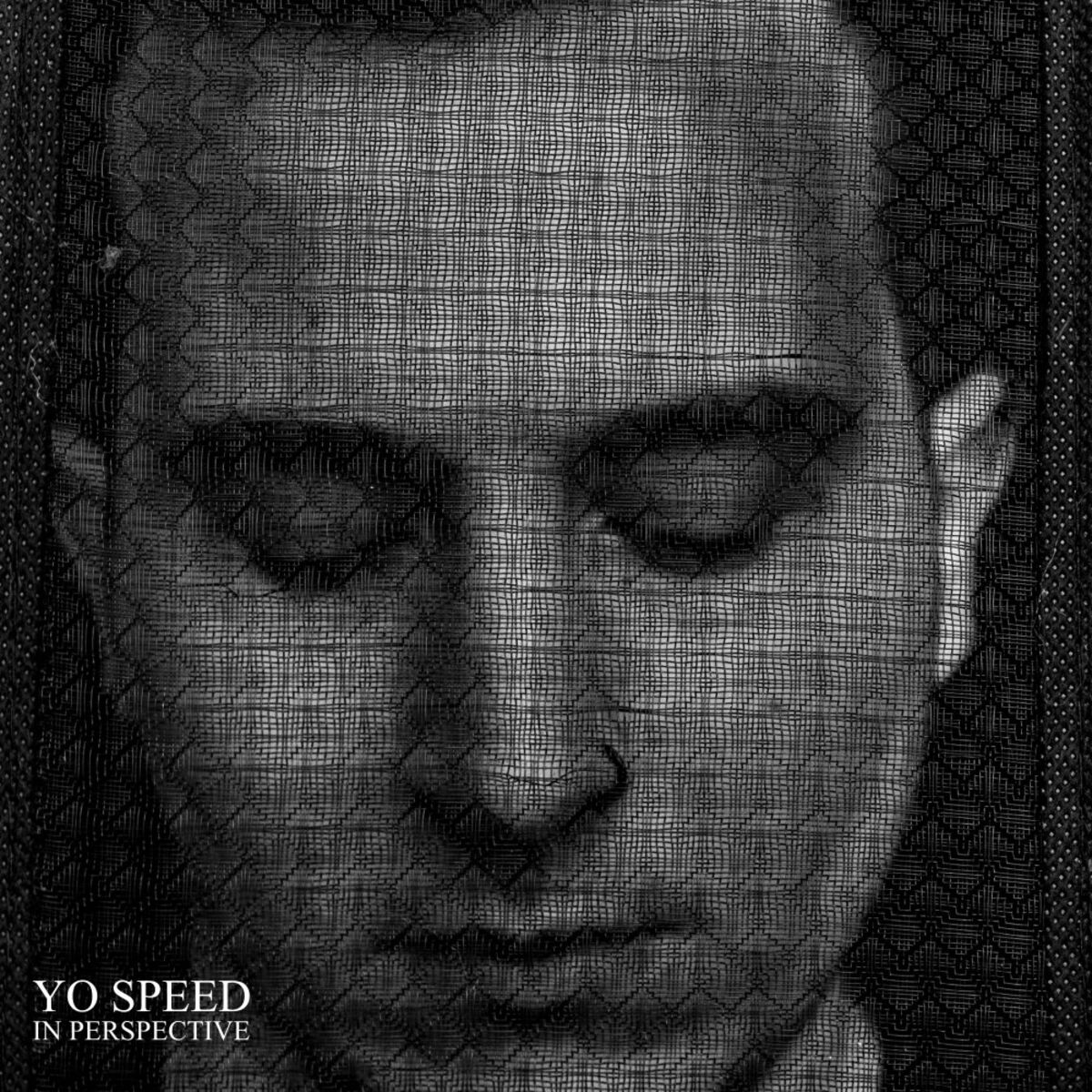 Album cover of In Perspective