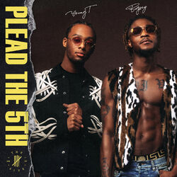 Cover of Plead The 5th