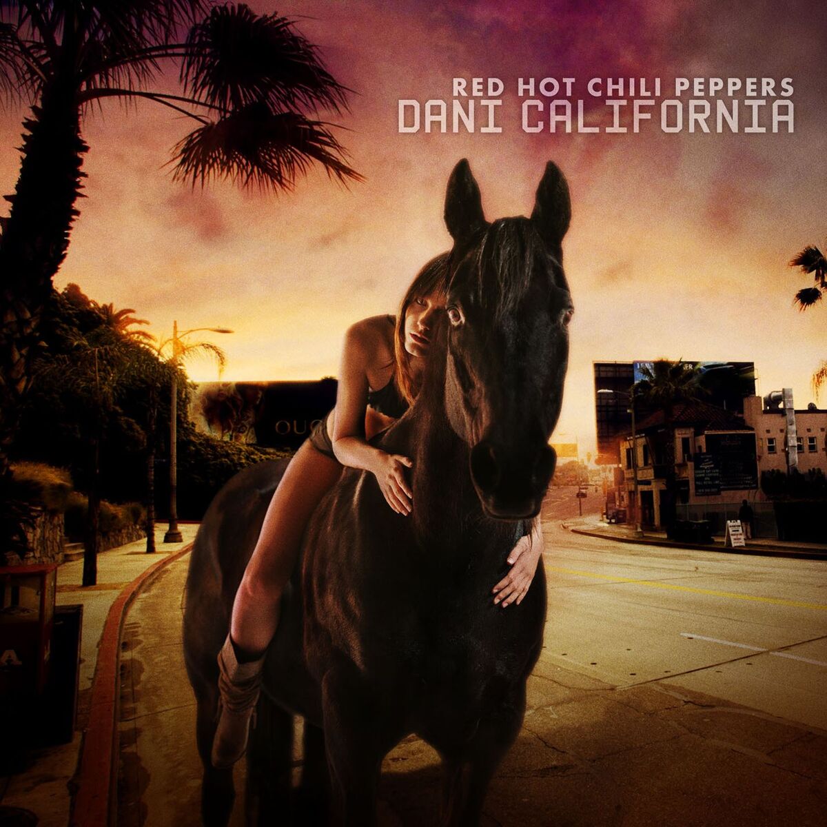 Album cover of Dani California