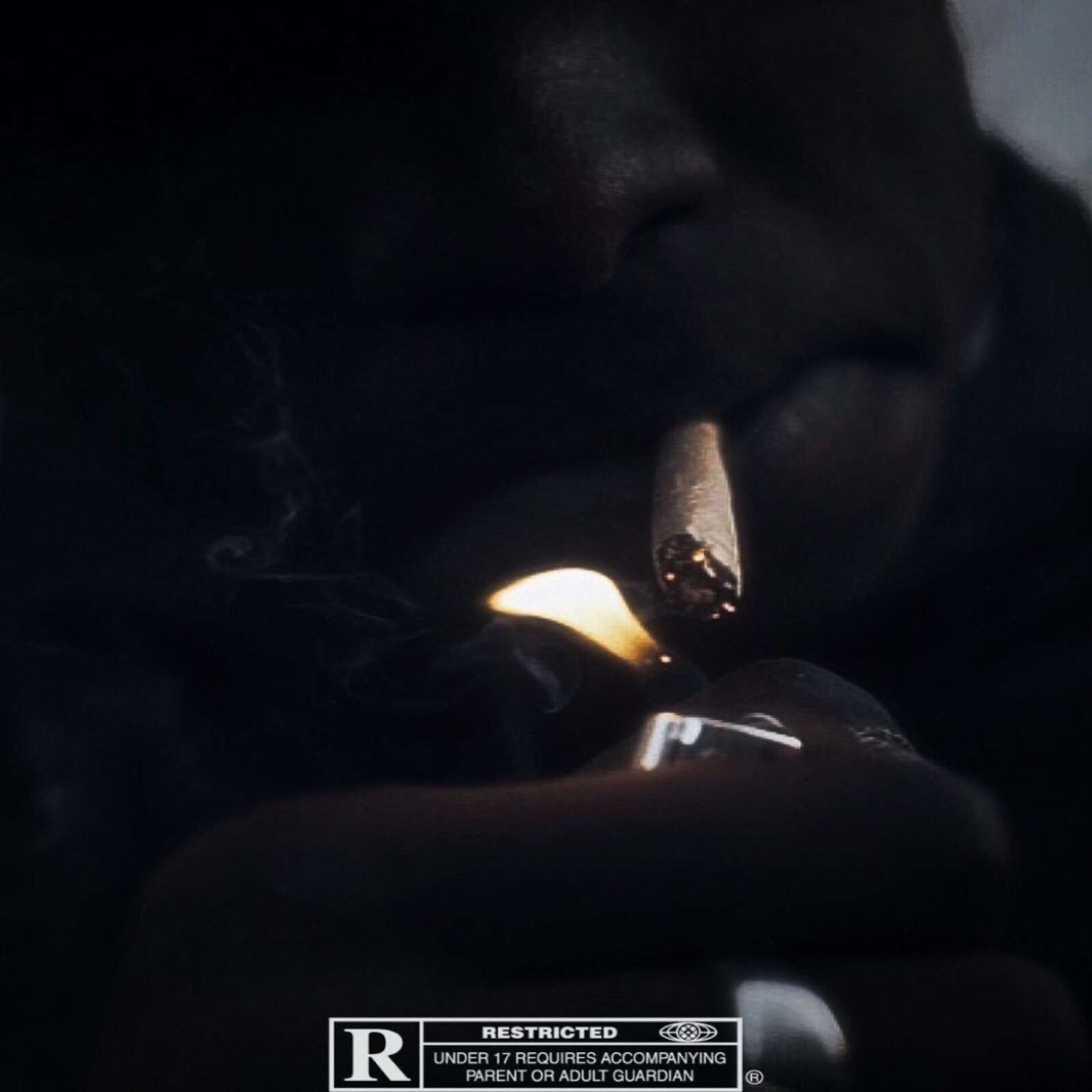 Album cover of Voyou (feat. La Honda 19)