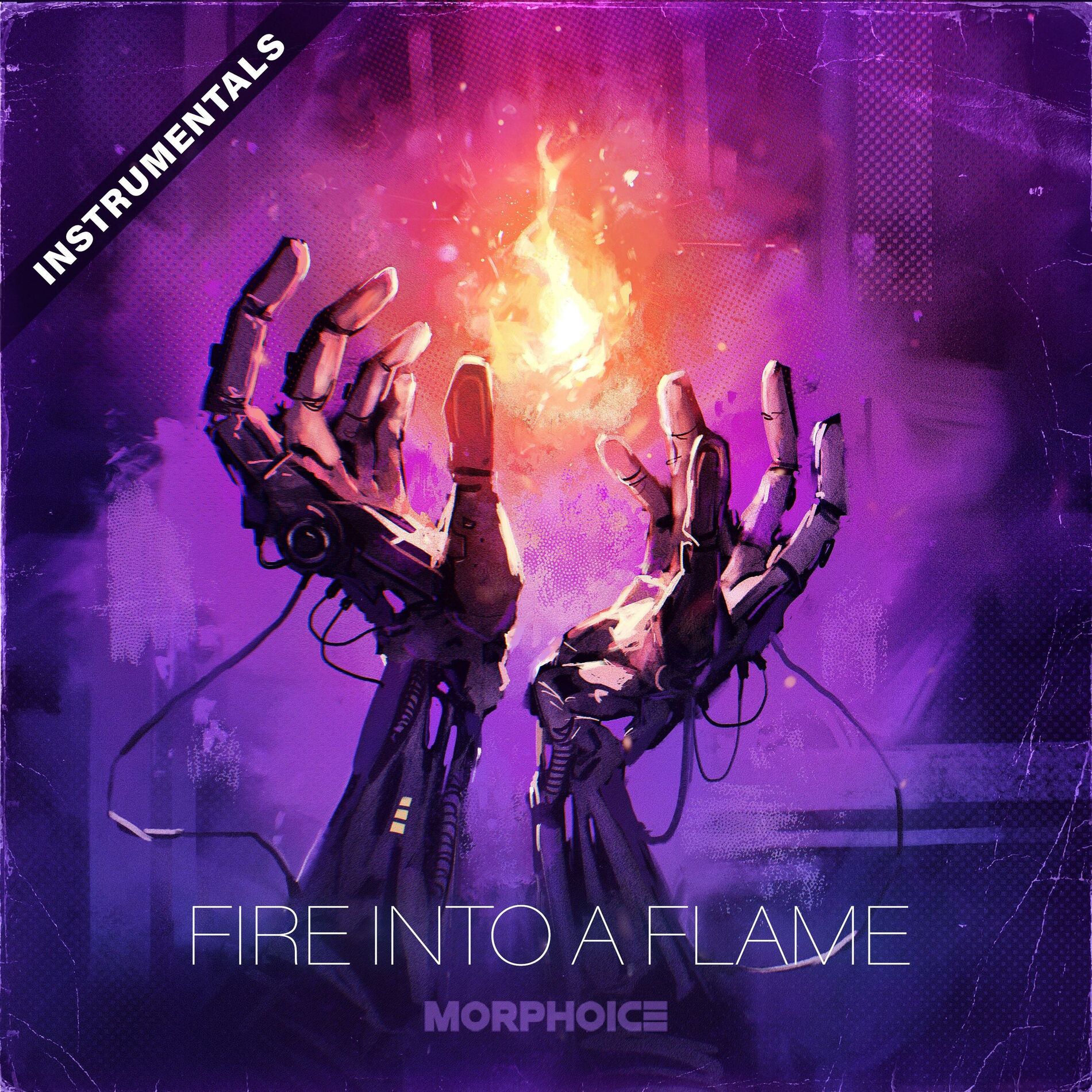 Album cover of Fire Into A Flame (Instrumentals)