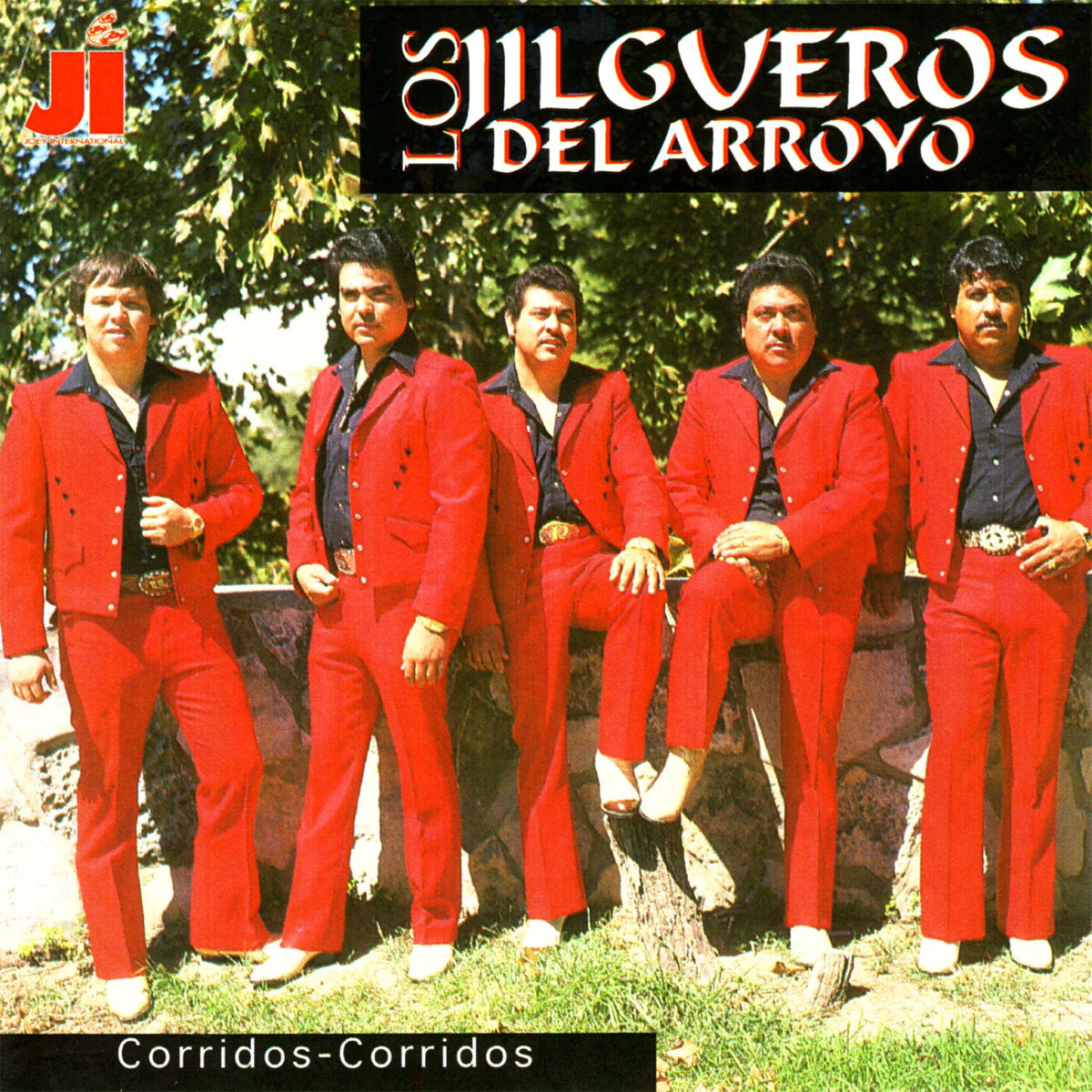 Album cover of Corridos - Corridos
