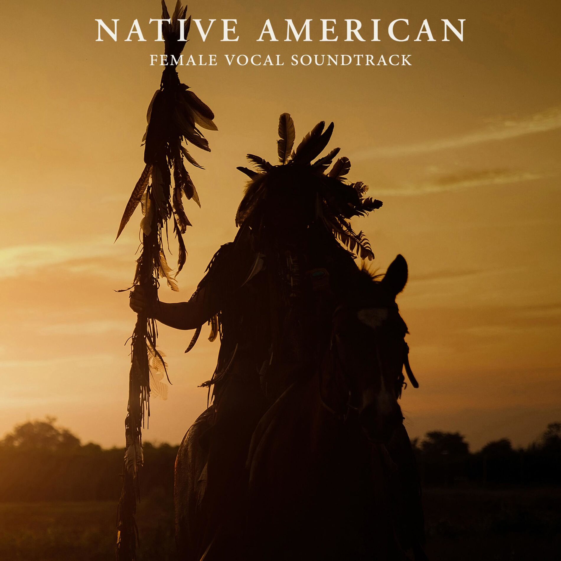 Album cover of Native American Female Vocal (feat. Rafael Krux)