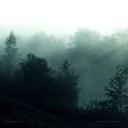 Cover of Frammenti