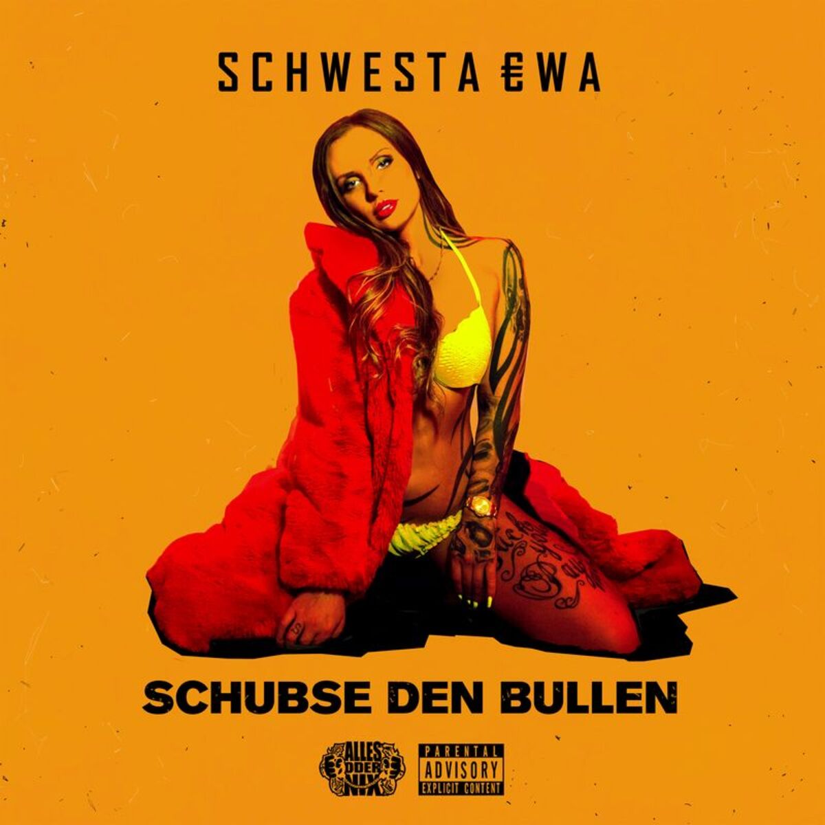 Album cover of Schubse den Bullen