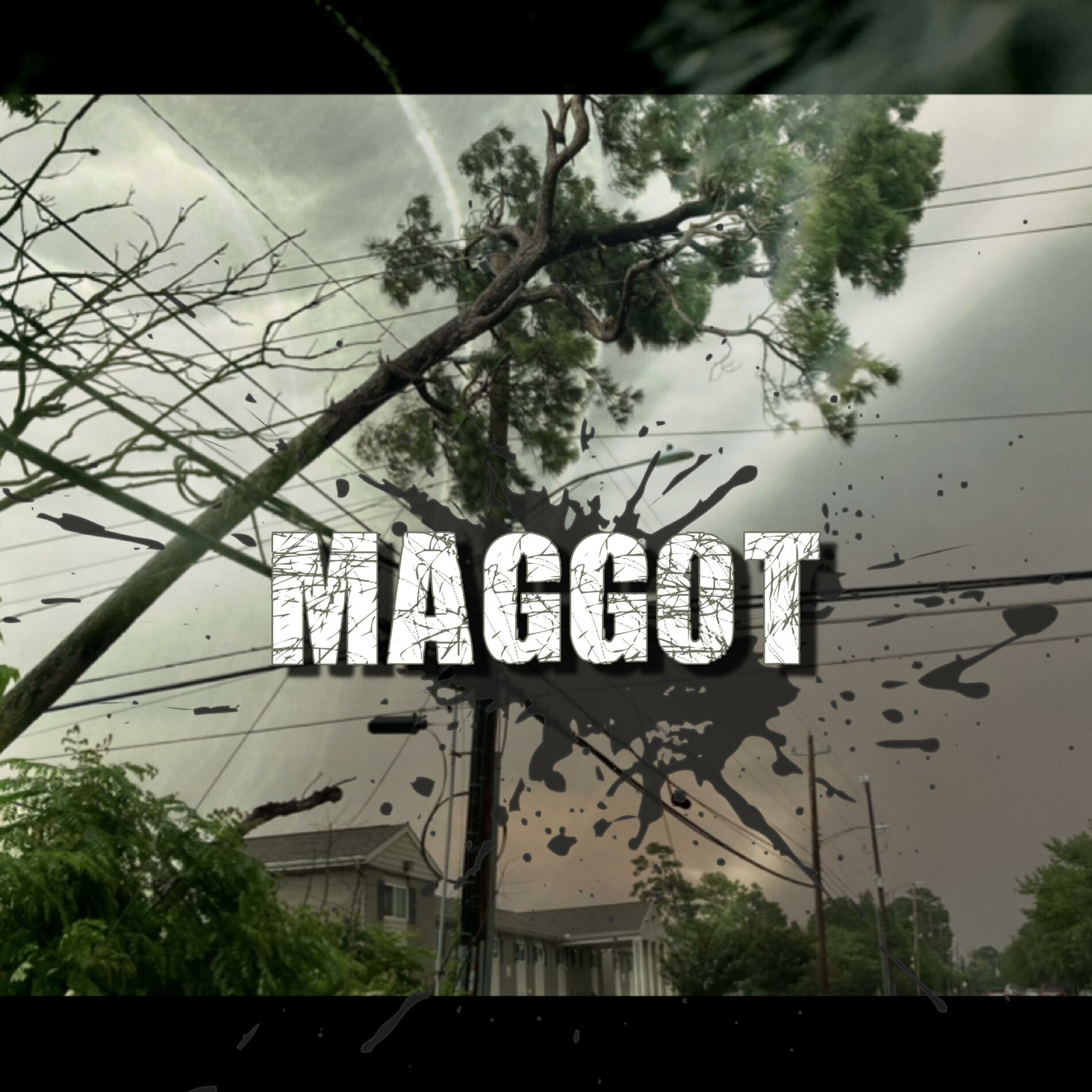 Album cover of Maggot