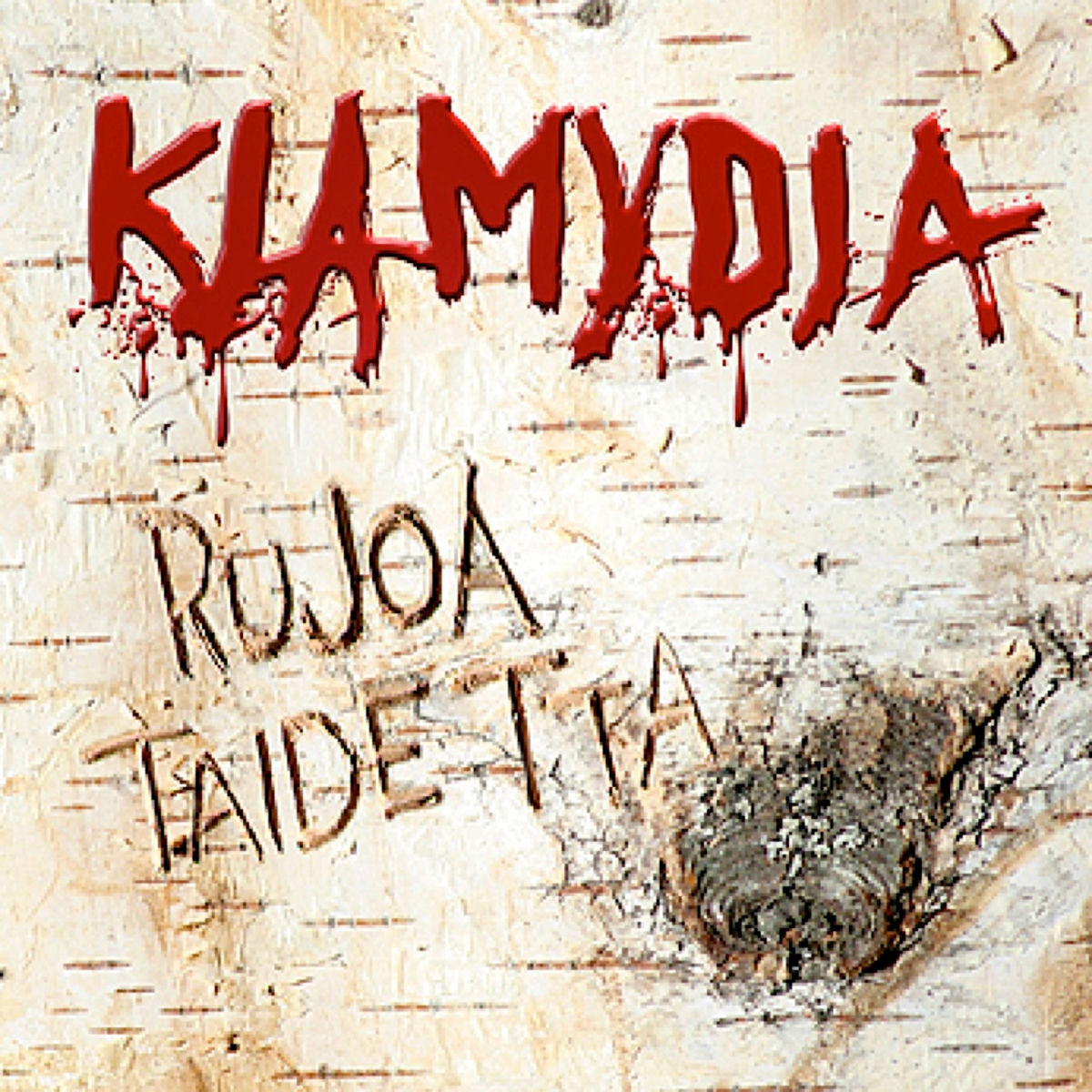 Album cover of Rujoa taidetta