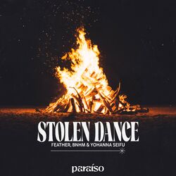 Cover of Stolen Dance